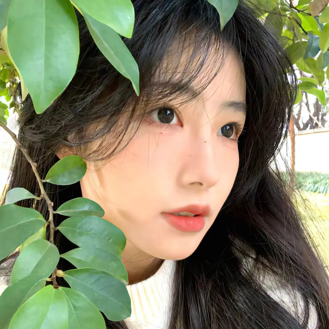 猫和粉茎