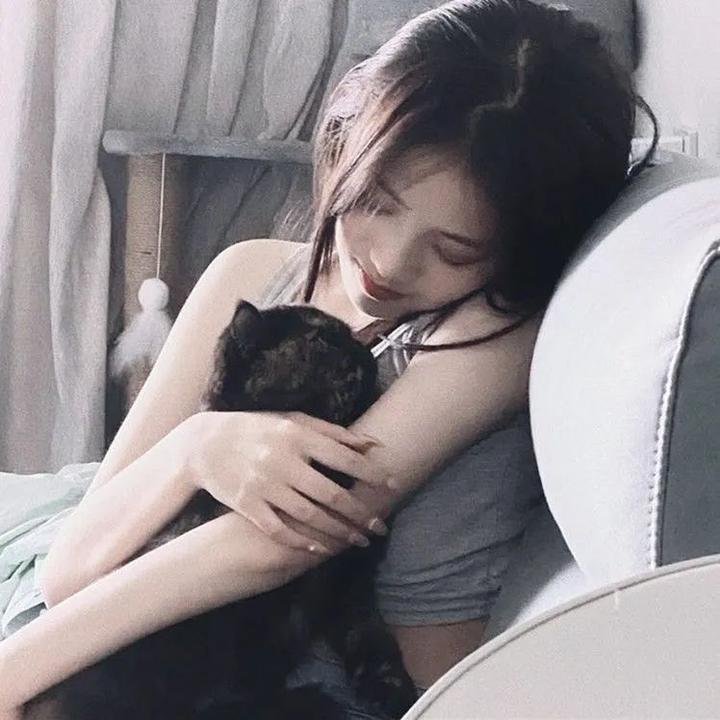机飞总动员2